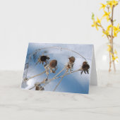 雪の種の頭 カード (黄色い花)