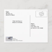 雪の積もった丘の上のベンチ 感謝の気持ちを込めたポストカード ポストカード (裏面)