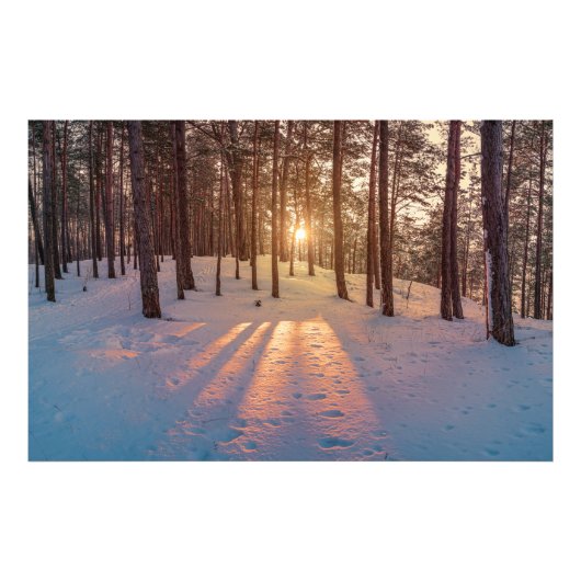 雪の積もる冬の松林に沈む夕日 フォトプリント            (正面)
