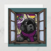 雪の窓の子犬 シーズンカード (正面/裏面)