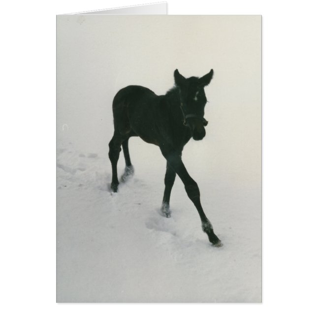 雪の第一歩 (正面)