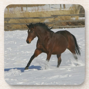 雪の純血種の馬のランニング コースター