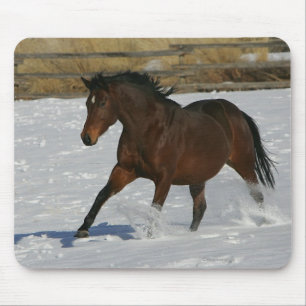 雪の純血種の馬のランニング マウスパッド