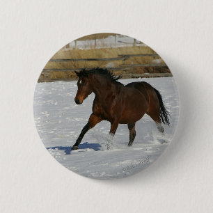 雪の純血種の馬のランニング 缶バッジ
