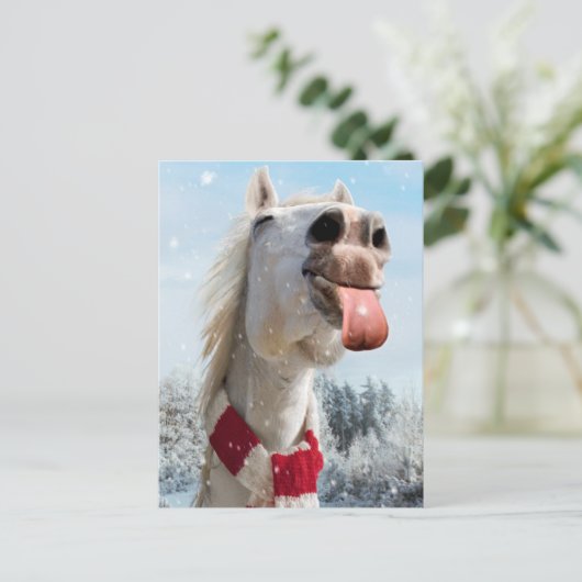 雪の結晶をキャッチする馬 インビテーションポストカード (スタンド正面)