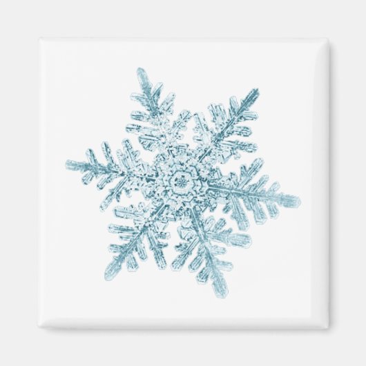 雪の結晶マグネット マグネット (正面)