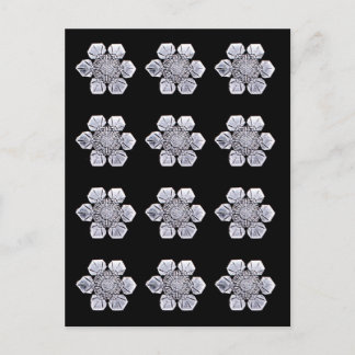 雪の結晶写真 ポストカード