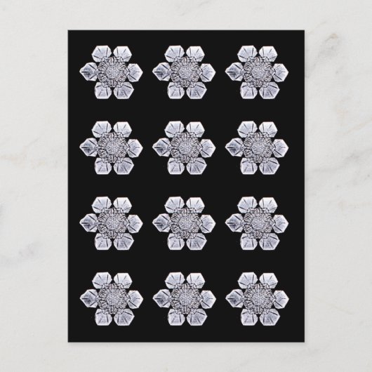 雪の結晶写真 ポストカード (正面)