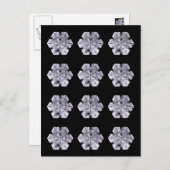 雪の結晶写真 ポストカード (正面/裏面)