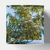 雪の緑のクリスマスツリー フェイバーボックス (上部)