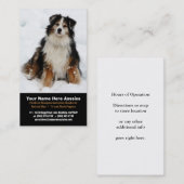 雪の繁殖動物の名刺のオーストラリアの羊飼い 名刺 (正面/裏面)