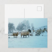 雪の羊の冬景色 アクリルジグソーパズル ポストカード (正面/裏面)