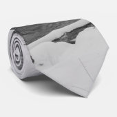 雪の美しいジェームズリバーグレースケールネックタイ ネクタイ (ロール)