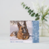 雪の美しいジャーマン・シェパード犬 シーズンポストカード (スタンド正面)