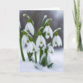 雪の考え滴 カード (正面)