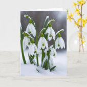 雪の考え滴 カード (黄色い花)