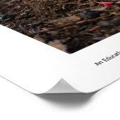 雪の花のプリント ポスター (角)