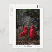 雪の花のプリント ポストカード (正面/裏面)