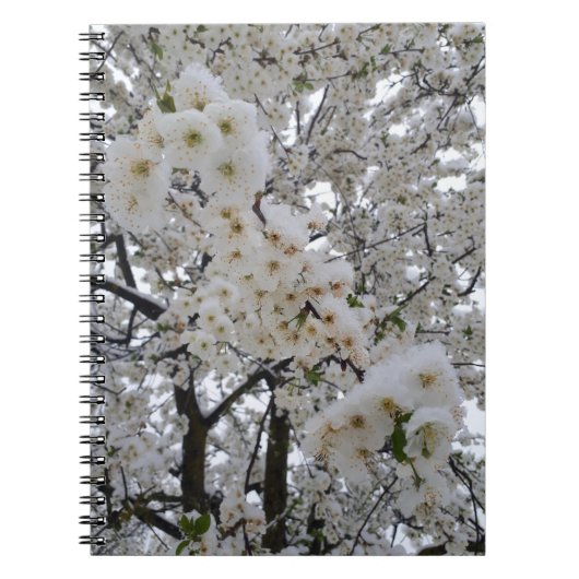 雪の花 ノートブック (正面)
