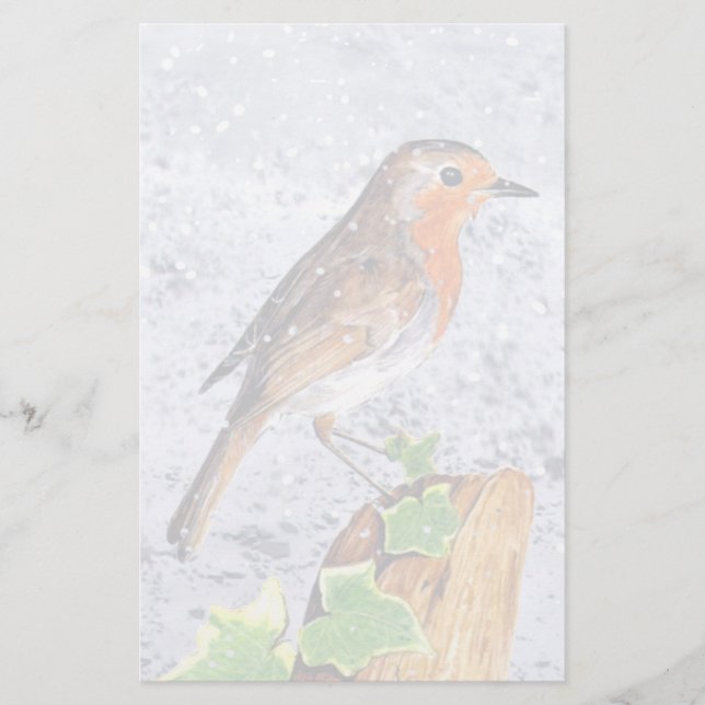 雪の芸術の中のレッドロビン (正面)