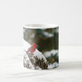 雪の茂みに（鳥）ショウジョウコウカンチョウ コーヒーマグカップ (中央)