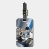 雪の荷物のラベルのハスキー ラゲッジタグ (正面縦)