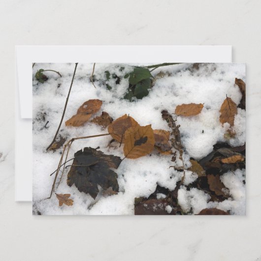 雪の葉休日のカードに横たわる シーズンカード (正面)
