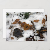 雪の葉休日のカードに横たわる シーズンカード (正面/裏面)