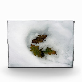 雪の葉休日のカードのキャンバス印刷にオーク材 フォトブロック