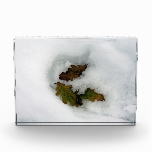 雪の葉休日のカードのキャンバス印刷にオーク材 フォトブロック (正面)