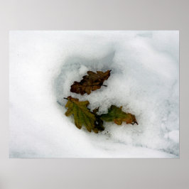 雪の葉休日のカードのキャンバス印刷にオーク材 ポスター