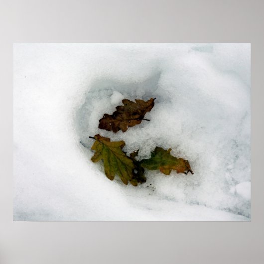 雪の葉休日のカードのキャンバス印刷にオーク材 ポスター (正面)