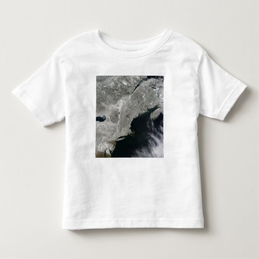 雪の衛星表示 トドラーTシャツ (正面)
