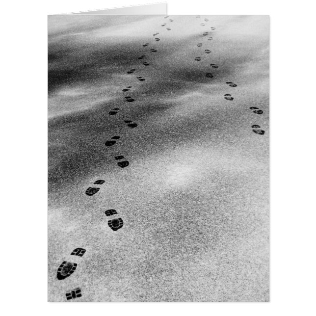 雪の足跡 (正面)