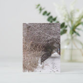 雪の足跡 ポストカード (スタンド正面)