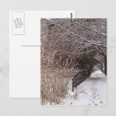 雪の足跡 ポストカード (正面/裏面)