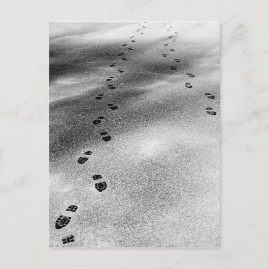 雪の足跡 ポストカード (正面)