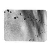 雪の足跡 マグネット (横)