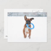 雪の遊中のジョリーの金髪 ポストカード (正面/裏面)