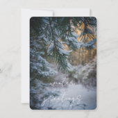 雪の重みで白くなった松の枝 シーズンカード (正面)