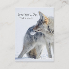 雪の野性生物ガイド、生態学者のコヨーテ 名刺