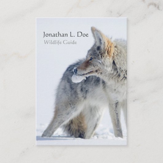 雪の野性生物ガイド、生態学者のコヨーテ 名刺 (正面)
