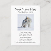 雪の野性生物ガイド、生態学者のコヨーテ 名刺 (裏面)