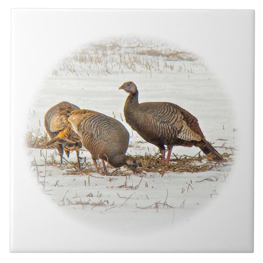 雪の野生の七面鳥 タイル (正面)