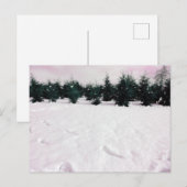 雪の銀世界とカラマツの冬景色  ホリデー シーズンポストカード (正面/裏面)