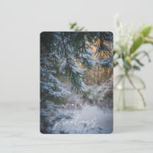 雪の降り積もった松の枝 シーズンカード (スタンド正面)