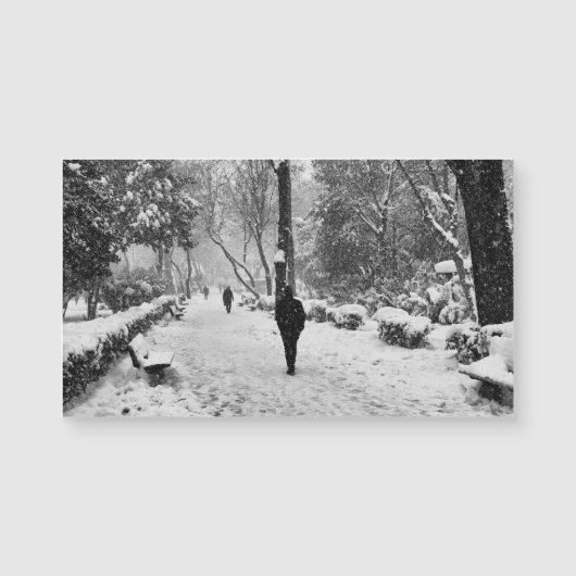 雪の降る冬の日に公園にいる人々 (正面)