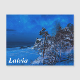 雪の降る夜の冬の風景。松の木が雪で覆われた様子をとらえた写真