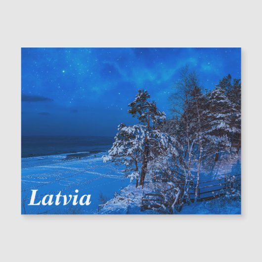 雪の降る夜の冬の風景。松の木が雪で覆われた様子をとらえた写真 (正面)