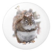 雪の陶磁器のノブのアカリス セラミックノブ (正面)